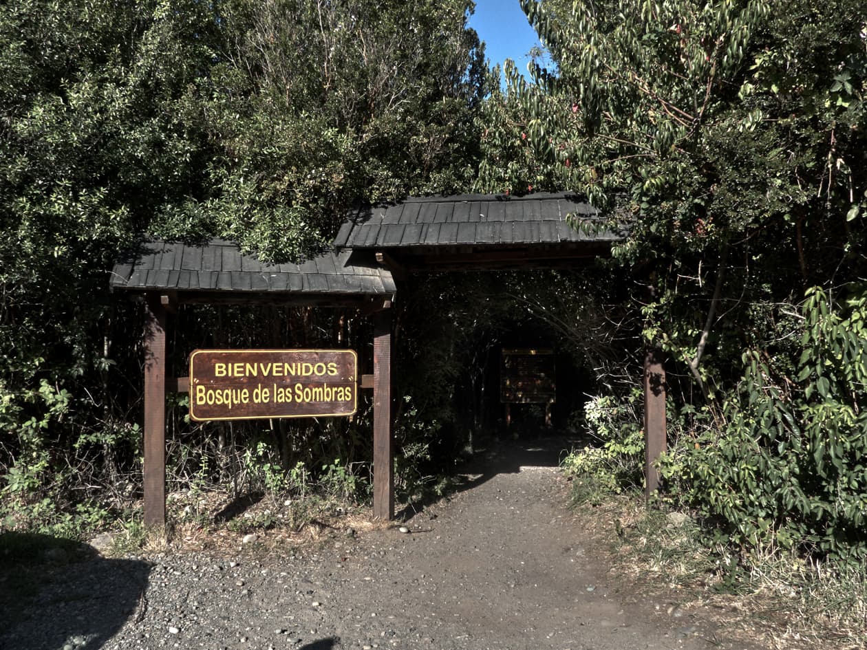 Bosque de las Sombras — imagen 2